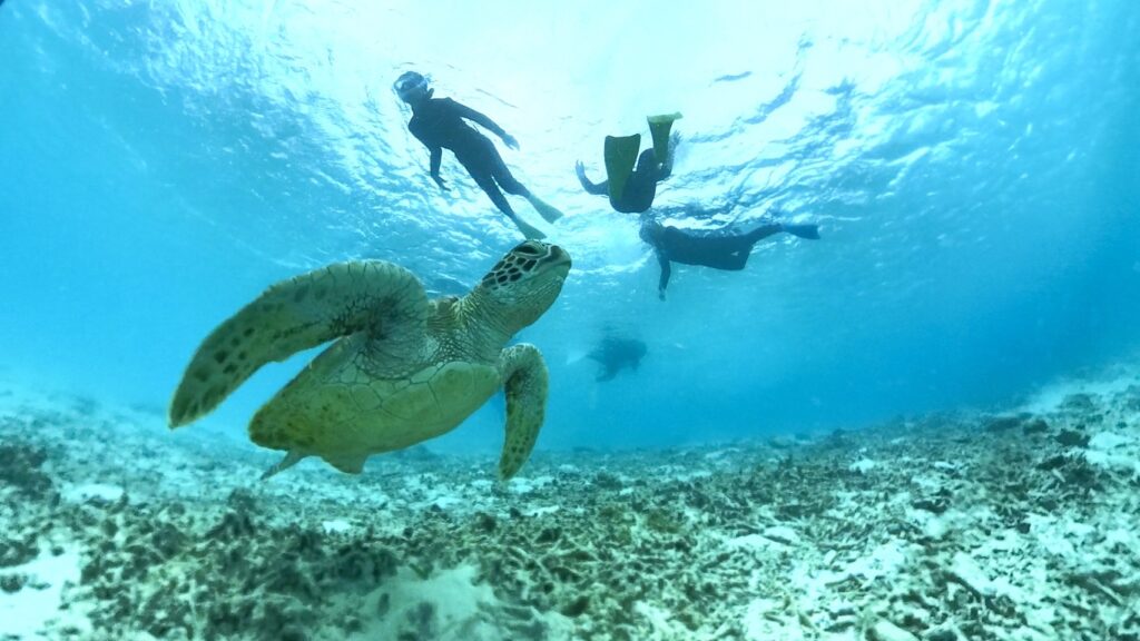 渡嘉敷島　シュノーケル